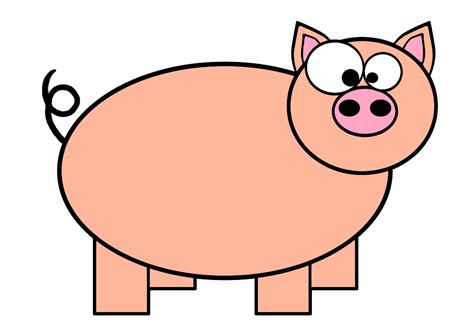 pig